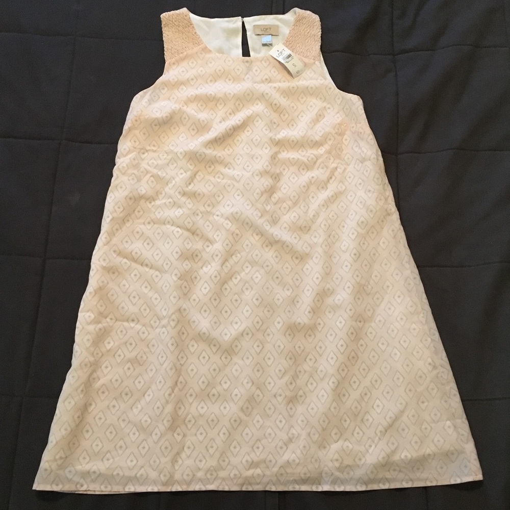 NWT Ann Taylor loft pink sleeveless dress